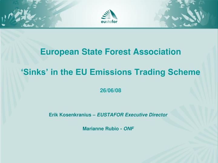 european state forest association sinks in the eu emissions trading scheme 26 06 08