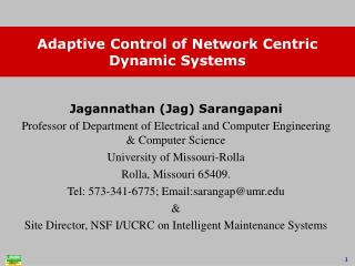 Adaptive Control of Network Centric Dynamic Systems