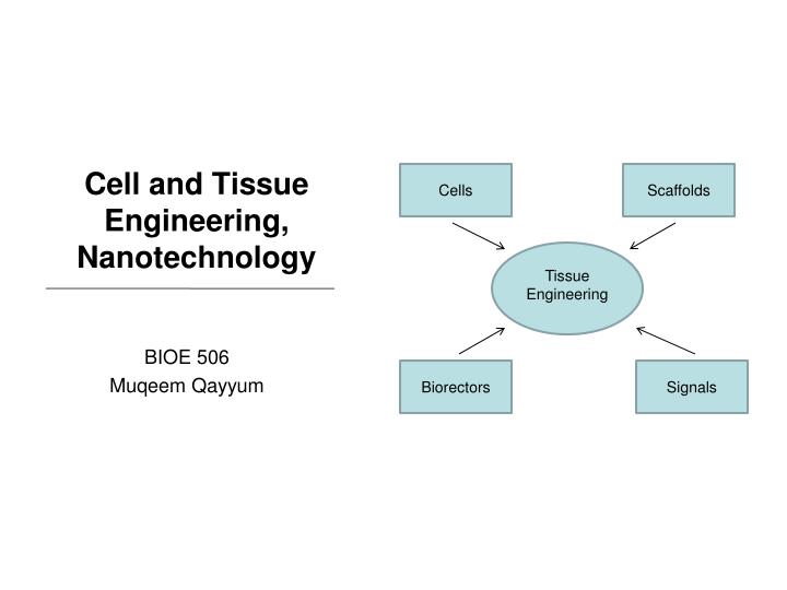 cell and tissue engineering nanotechnology