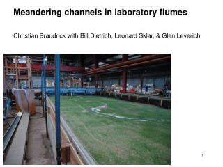 Meandering channels in laboratory flumes