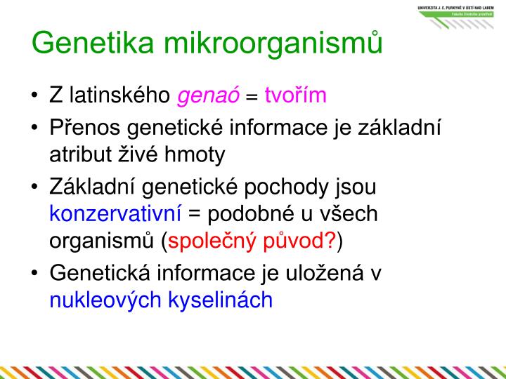 genetika mikroorganism