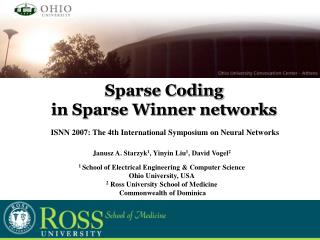Sparse Coding in Sparse Winner networks