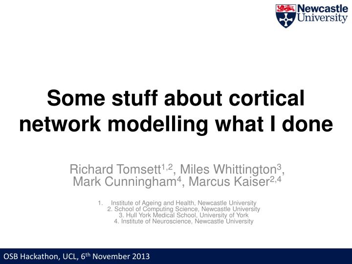 some stuff about cortical network modelling what i done
