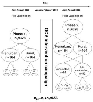 OCV intervention campaign