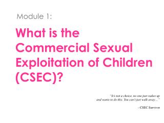 What is the Commercial Sexual Exploitation of Children (CSEC)?