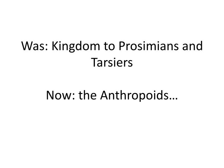was kingdom to prosimians and tarsiers now the anthropoids