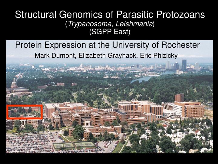 structural genomics of parasitic protozoans trypanosoma leishmania sgpp east