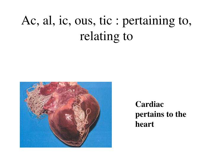 ac al ic ous tic pertaining to relating to