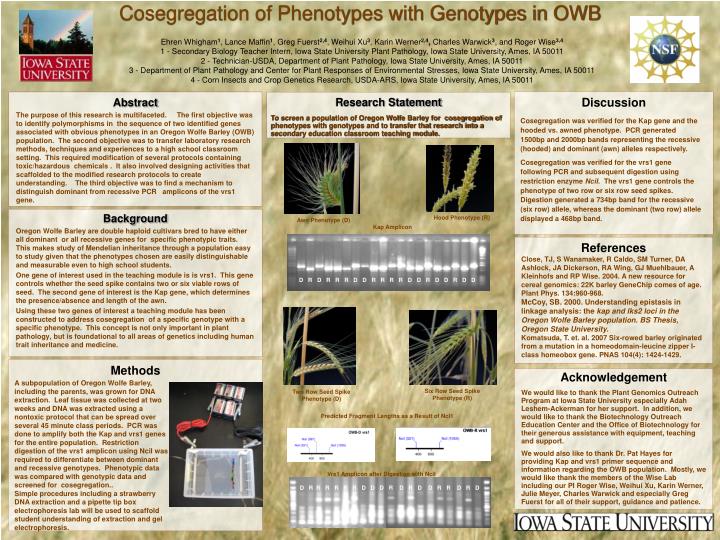 cosegregation of phenotypes with genotypes in owb