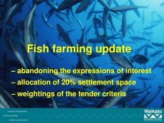 Fish farming update