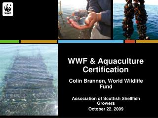 WWF &amp; Aquaculture Certification