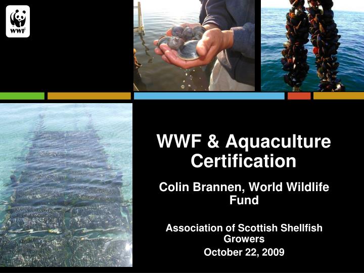 wwf aquaculture certification