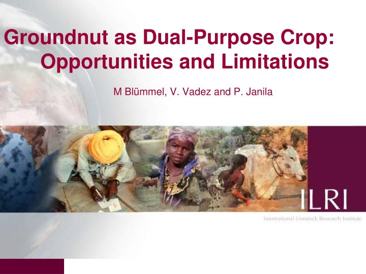 groundnut as dual purpose crop opportunities and limitations m bl mmel v vadez and p janila