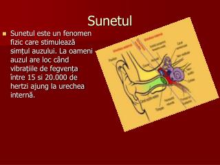 Sunetul