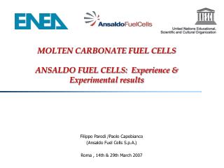 MOLTEN CARBONATE FUEL CELLS ANSALDO FUEL CELLS: Experience &amp; Experimental results