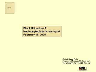 Block III Lecture 7 Nucleocytoplasmic transport February 16, 2005