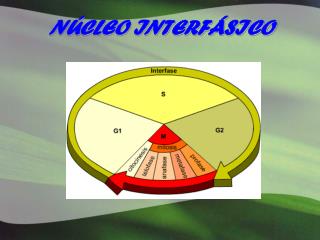 n cleo interf sico