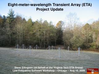 Eight-meter-wavelength Transient Array (ETA) Project Update
