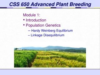 CSS 650 Advanced Plant Breeding