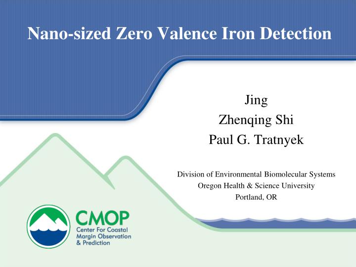 nano sized zero valence iron detection