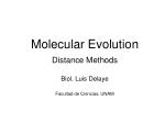 Molecular Evolution - slide 1
