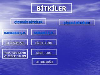 b tk ler