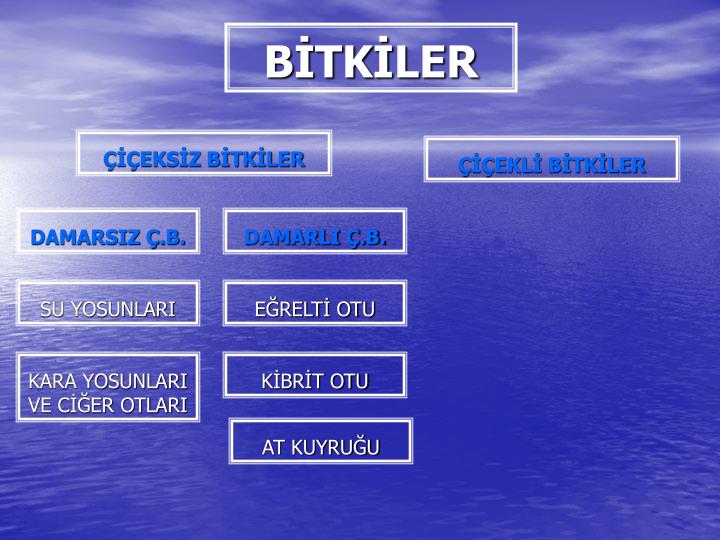 b tk ler