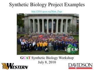 Synthetic Biology Project Examples