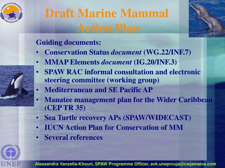 draft marine mammal action plan