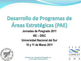 Desarrollo de Programas de Áreas Estratégicas (PAE)