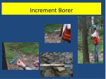 Increment Borer - slide 1