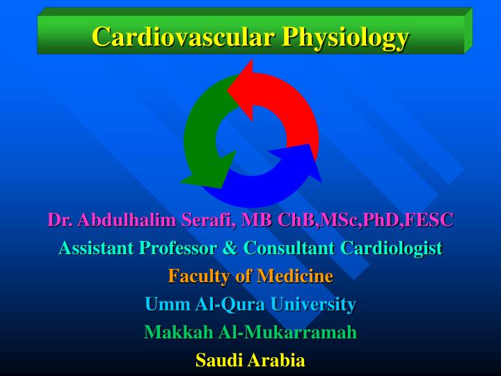 cardiovascular physiology