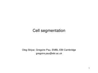 Cell segmentation
