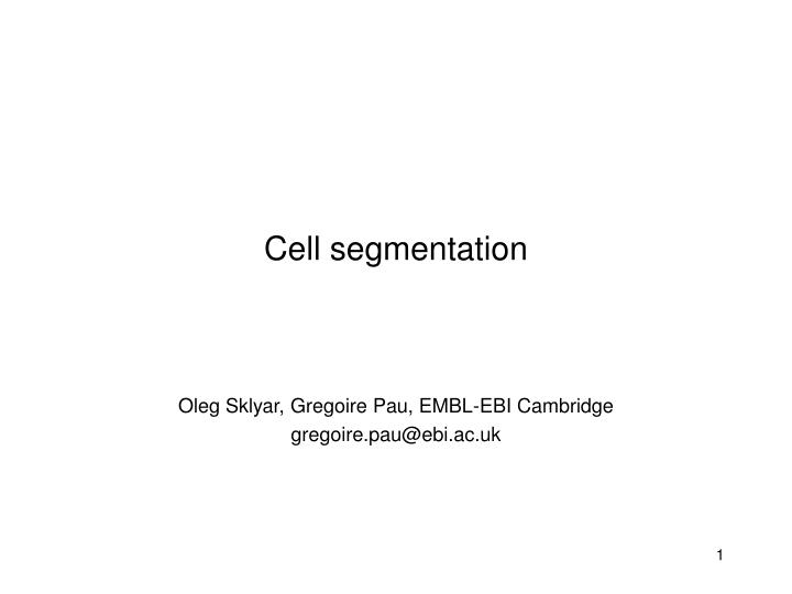cell segmentation