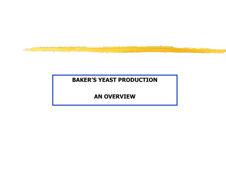 baker s yeast production an overview