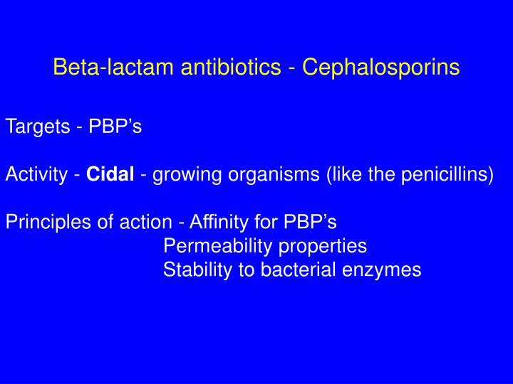 beta lactam antibiotics cephalosporins
