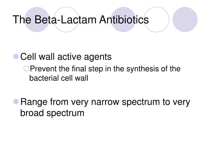 the beta lactam antibiotics