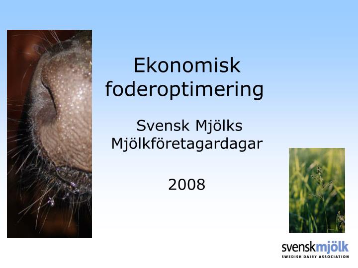 ekonomisk foderoptimering