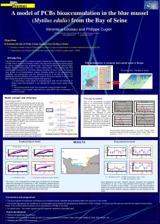 A model of PCB s bioaccumulation in the blue mussel ( Mytilus edulis ) from the Bay of Seine