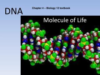 DNA