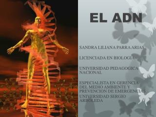 el adn