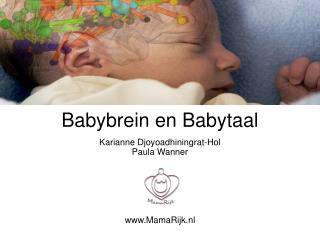 babybrein en babytaal
