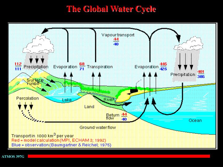 the global water cycle