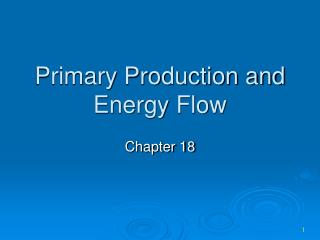 Primary Production and Energy Flow