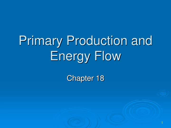 primary production and energy flow