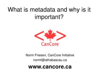 What is metadata and why is it important?