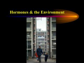 Hormones &amp; the Environment