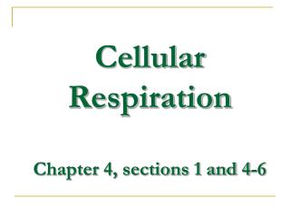 Cellular Respiration Chapter 4, sections 1 and 4-6