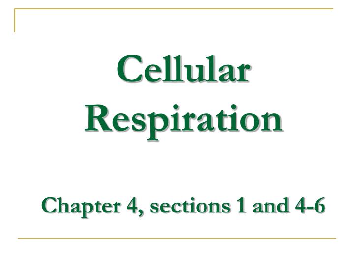 cellular respiration chapter 4 sections 1 and 4 6