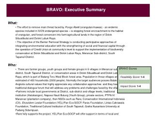 BRAVO: Executive Summary